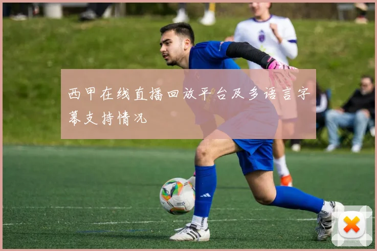 西甲在线直播回放平台及多语言字幕支持情况